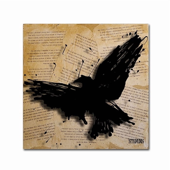 Roderick Stevens 'The Raven 2' Huge Canvas Art 35 x 35