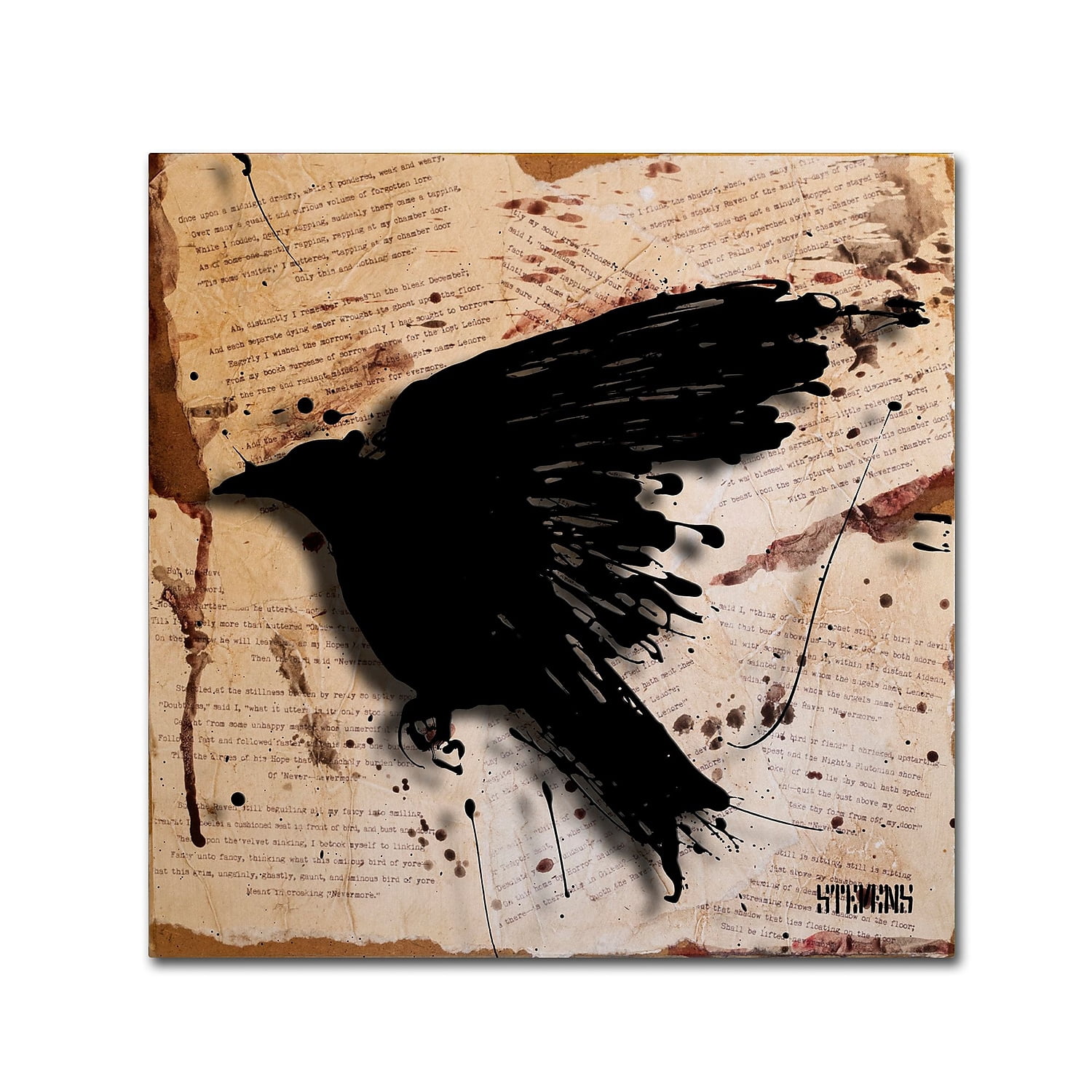 Trademark Fine Art Roderick Stevens 'The Raven 3' 18 x 18 (RS1013-C1818GG)