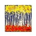 thumbnail image 1 of Trademark Fine Art Roderick Stevens 'White Aspens' 18 x 18 (RS994-C1818GG), 1 of 1