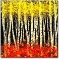 thumbnail image 1 of Trademark Fine Art Roderick Stevens 'White Aspens 2' 24 x 24 (RS998-C2424GG), 1 of 1