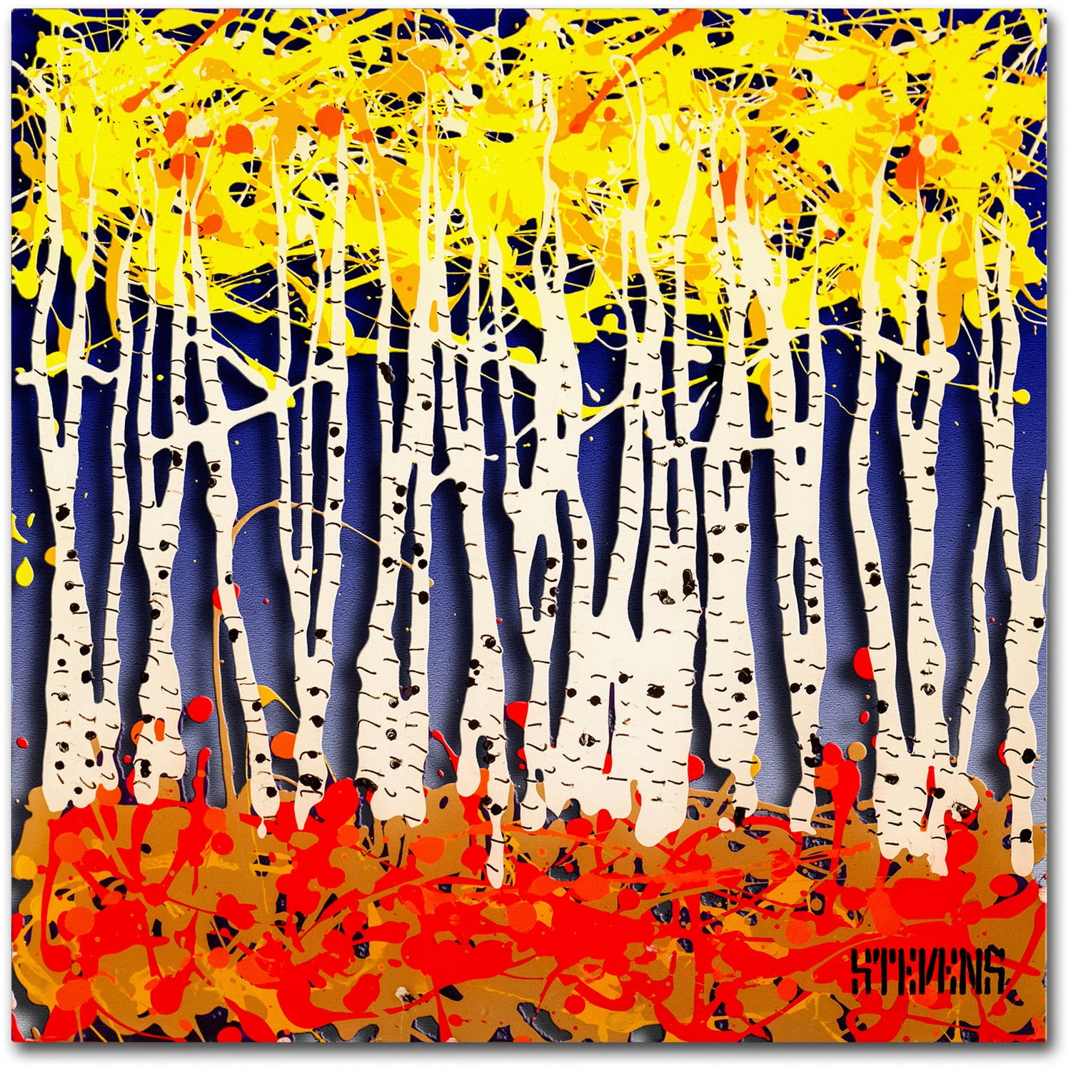 Trademark Fine Art Roderick Stevens 'White Aspens' 24 x 24 (RS994-C2424GG)