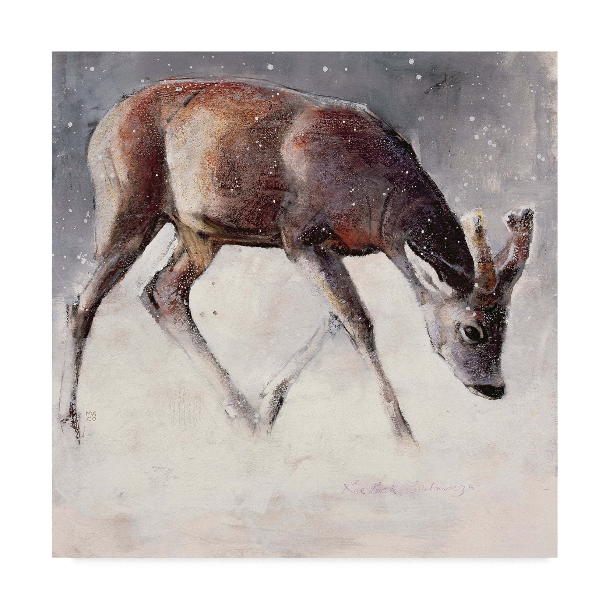 Trademark Fine Art 'Roe Buck, Winter' Canvas Art by Mark Adlington
