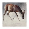 thumbnail image 1 of Trademark Fine Art 'Roe Buck, Winter' Canvas Art by Mark Adlington, 1 of 3