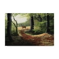 thumbnail image 1 of Trademark Fine Art 'Roe Deer' Canvas Art by Nigel Artingstall, 1 of 3