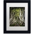 thumbnail image 1 of Trademark Fine Art "Romantic Avenue" Canvas Art by Philippe Sainte-Laudy, White Matte, Black Frame, 1 of 4