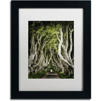 Trademark Fine Art "Romantic Avenue" Canvas Art by Philippe Sainte-Laudy, White Matte, Black Frame