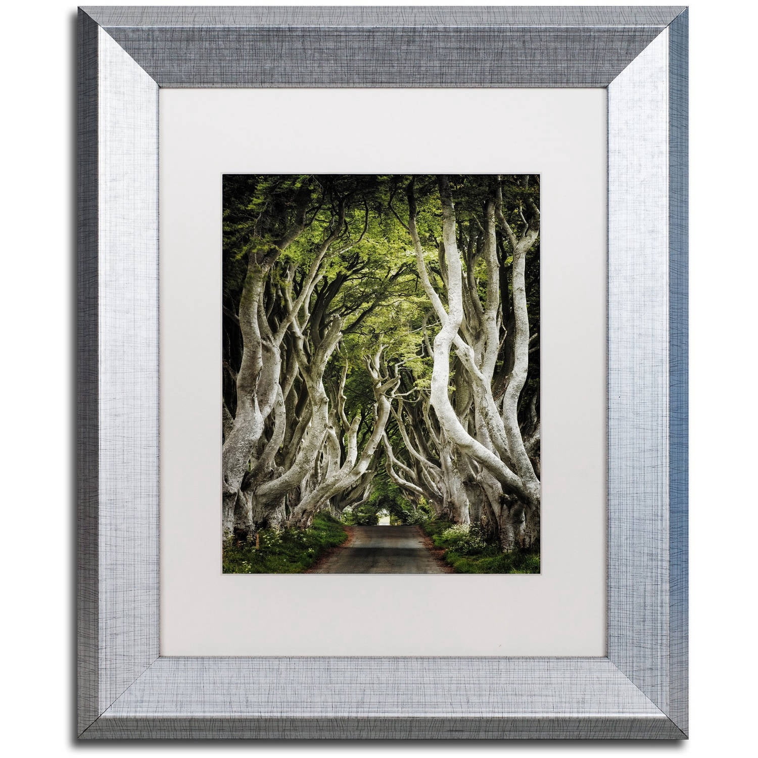 Trademark Fine Art "Romantic Avenue" Canvas Art by Philippe Sainte-Laudy, White Matte, Silver Frame