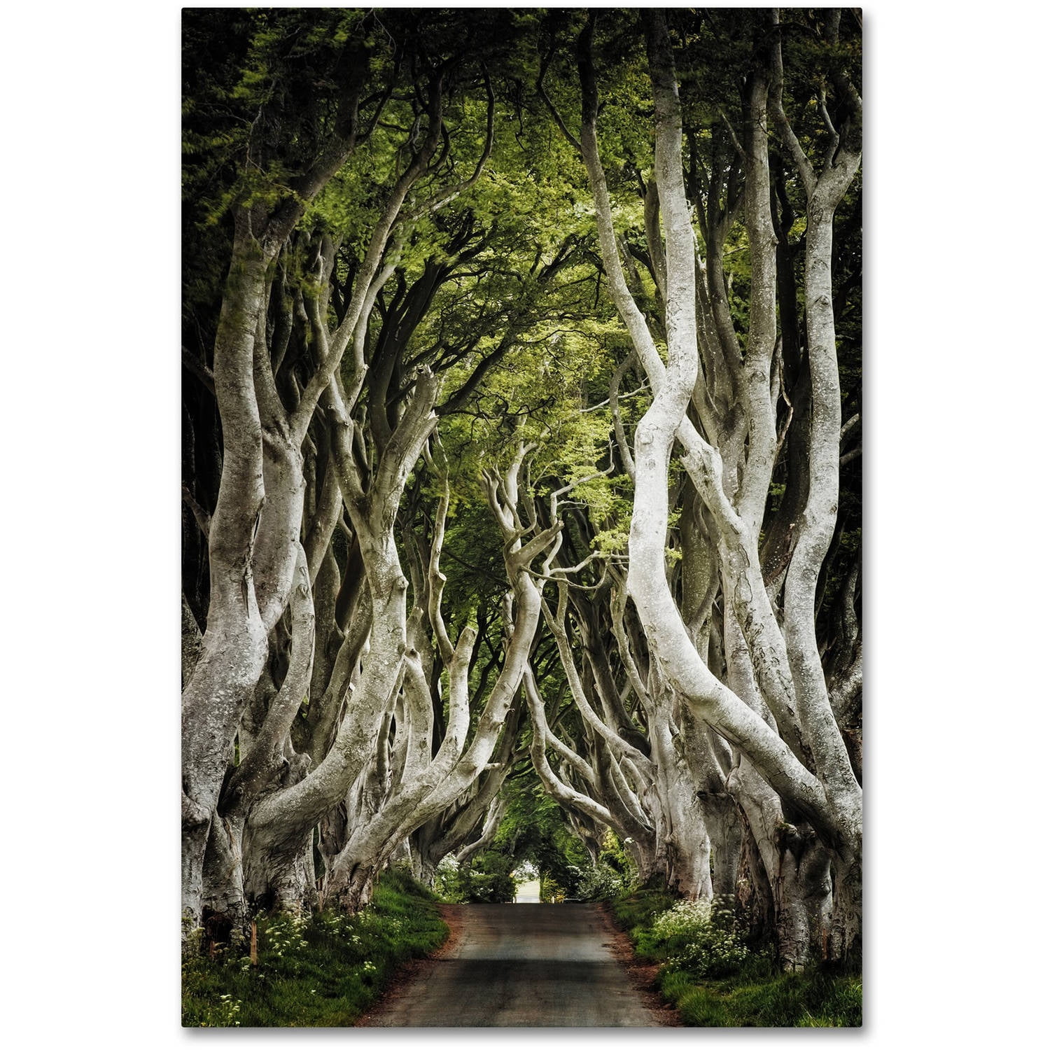 Trademark Fine Art "Romantic Avenue" Canvas Art by Philippe Sainte-Laudy