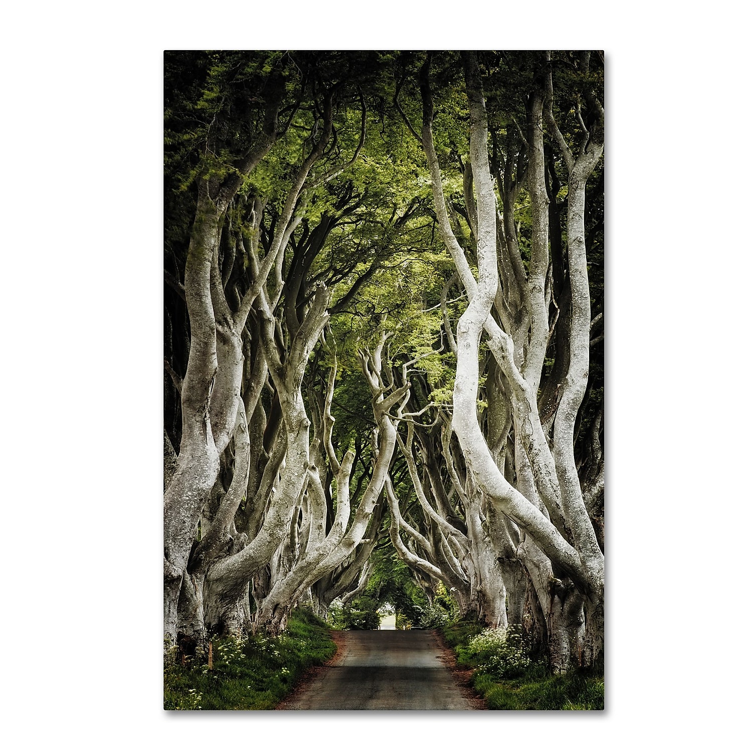 Trademark Fine Art "Romantic Avenue" Canvas Art by Philippe Sainte-Laudy