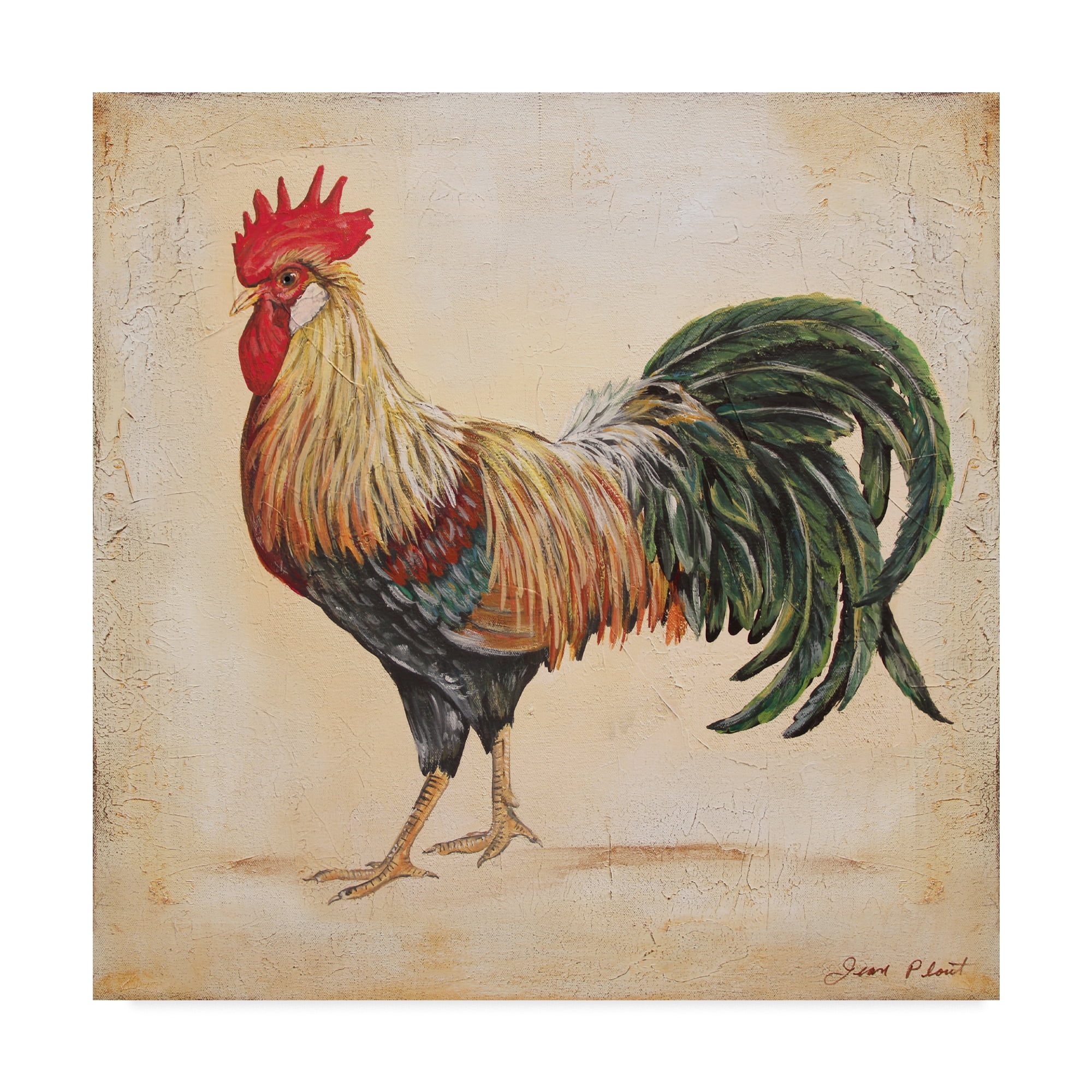 Trademark Fine Art 'Rooster 3' Canvas Art by Jean Plout