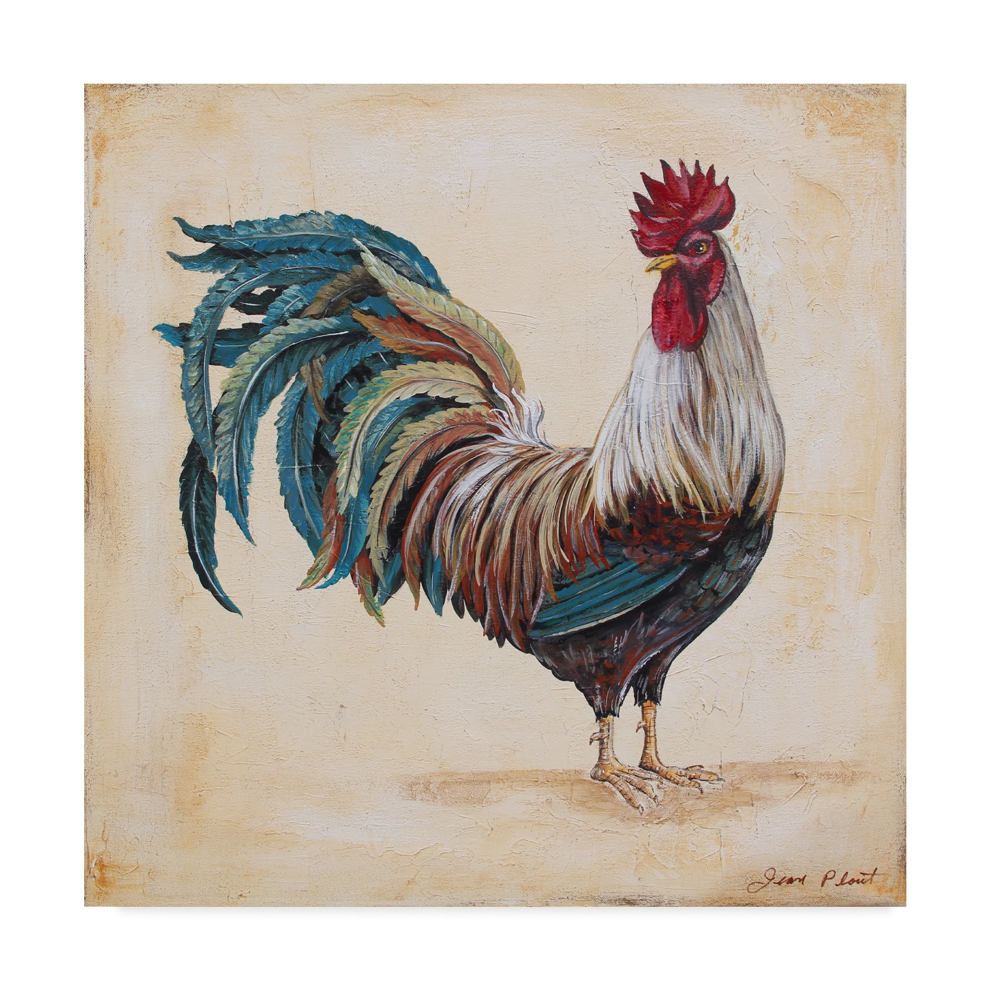 Trademark Fine Art 'Rooster 4' Canvas Art by Jean Plout
