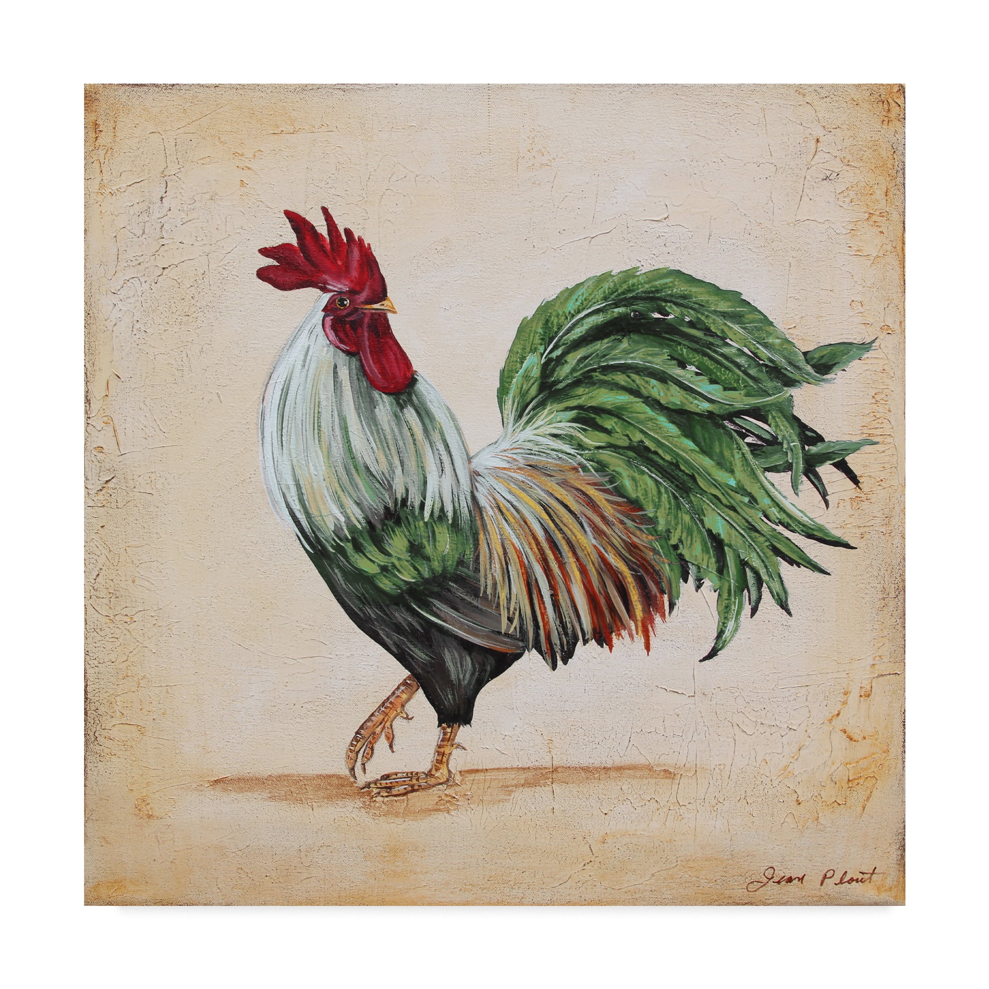 Trademark Fine Art 'Rooster 5' Canvas Art by Jean Plout