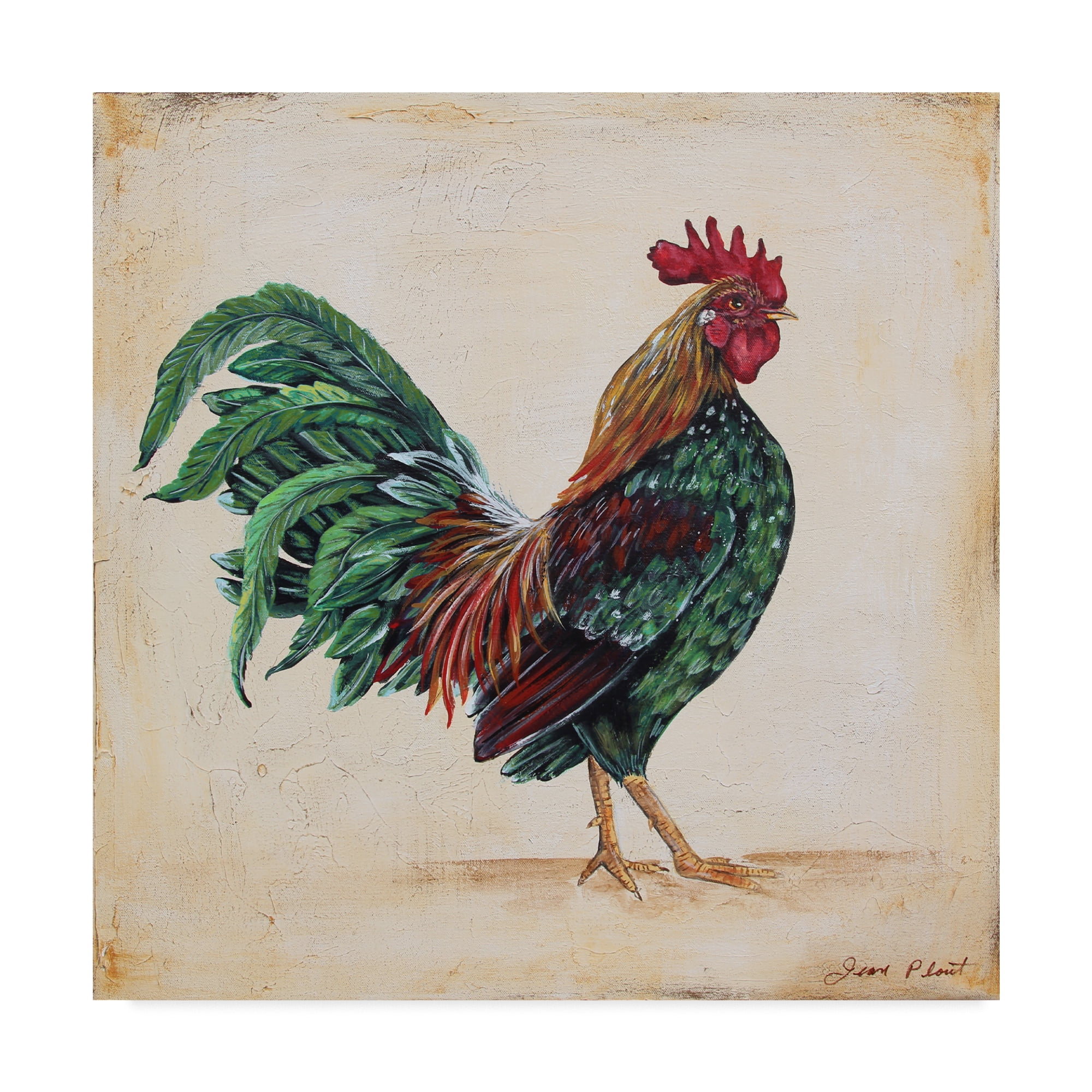 Trademark Fine Art 'Rooster 7' Canvas Art by Jean Plout
