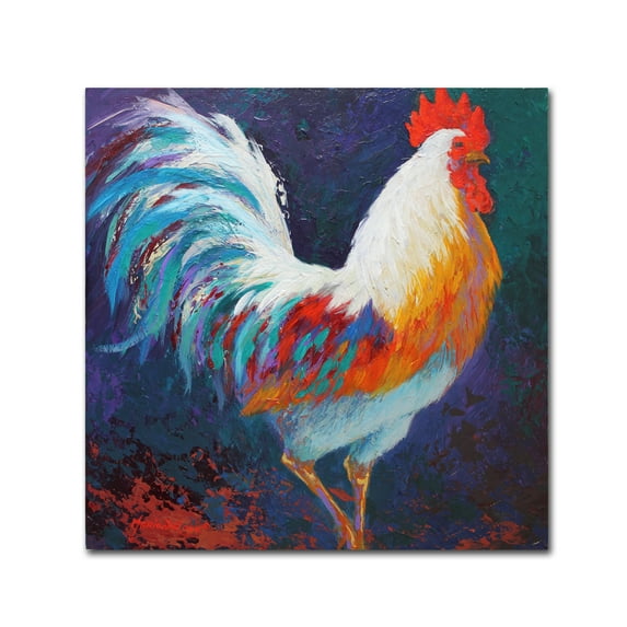 Trademark Fine Art 'Rooster' Canvas Art by Marion Rose