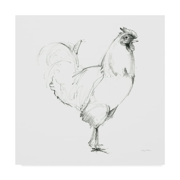 Trademark Fine Art 'Rooster II Dark Square' Canvas Art by Avery Tillmon