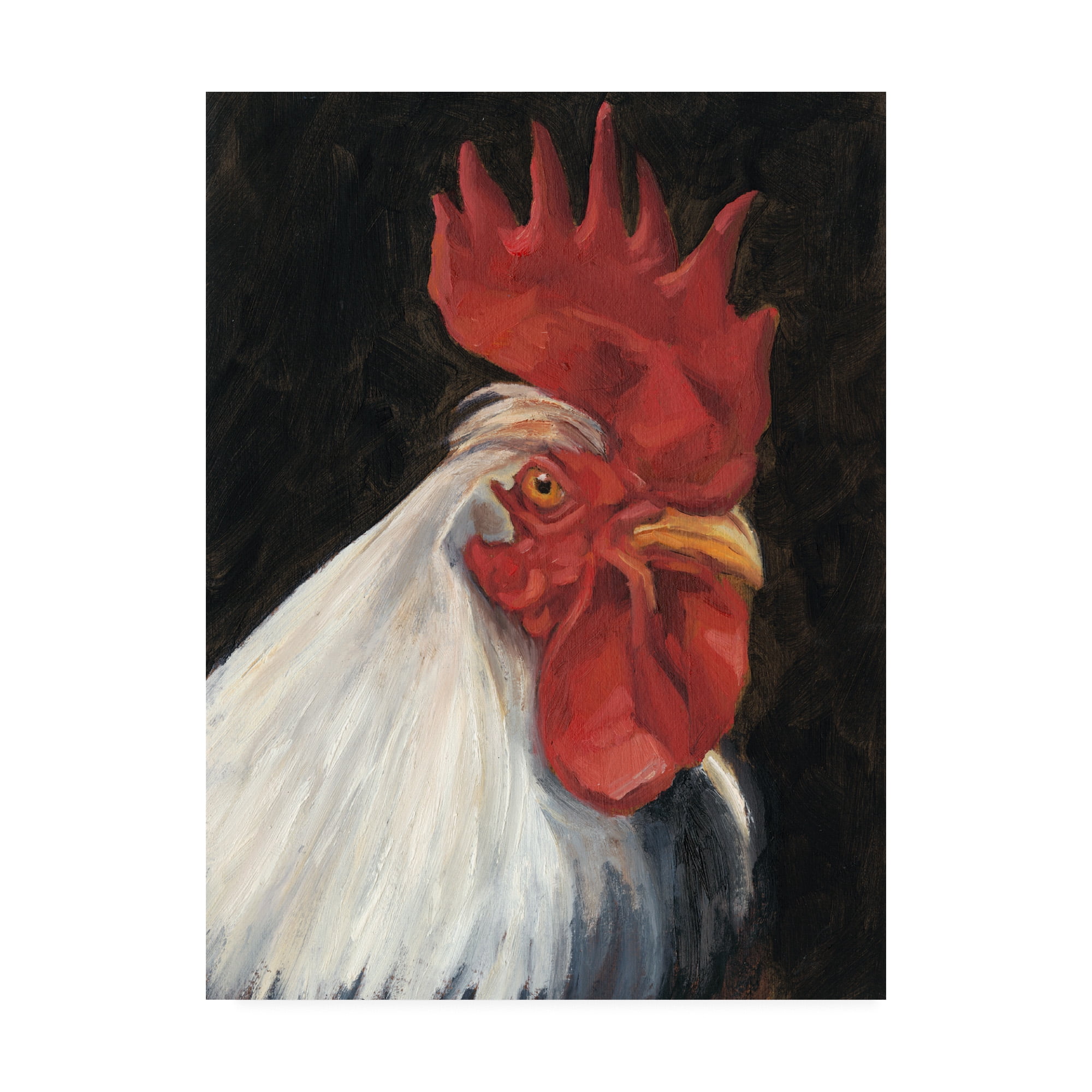 Trademark Fine Art 'Rooster Portrait I' Canvas Art by Ethan Harper