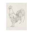 thumbnail image 1 of Trademark Fine Art 'Rooster Sketch II' Canvas Art by Ethan Harper, 1 of 4
