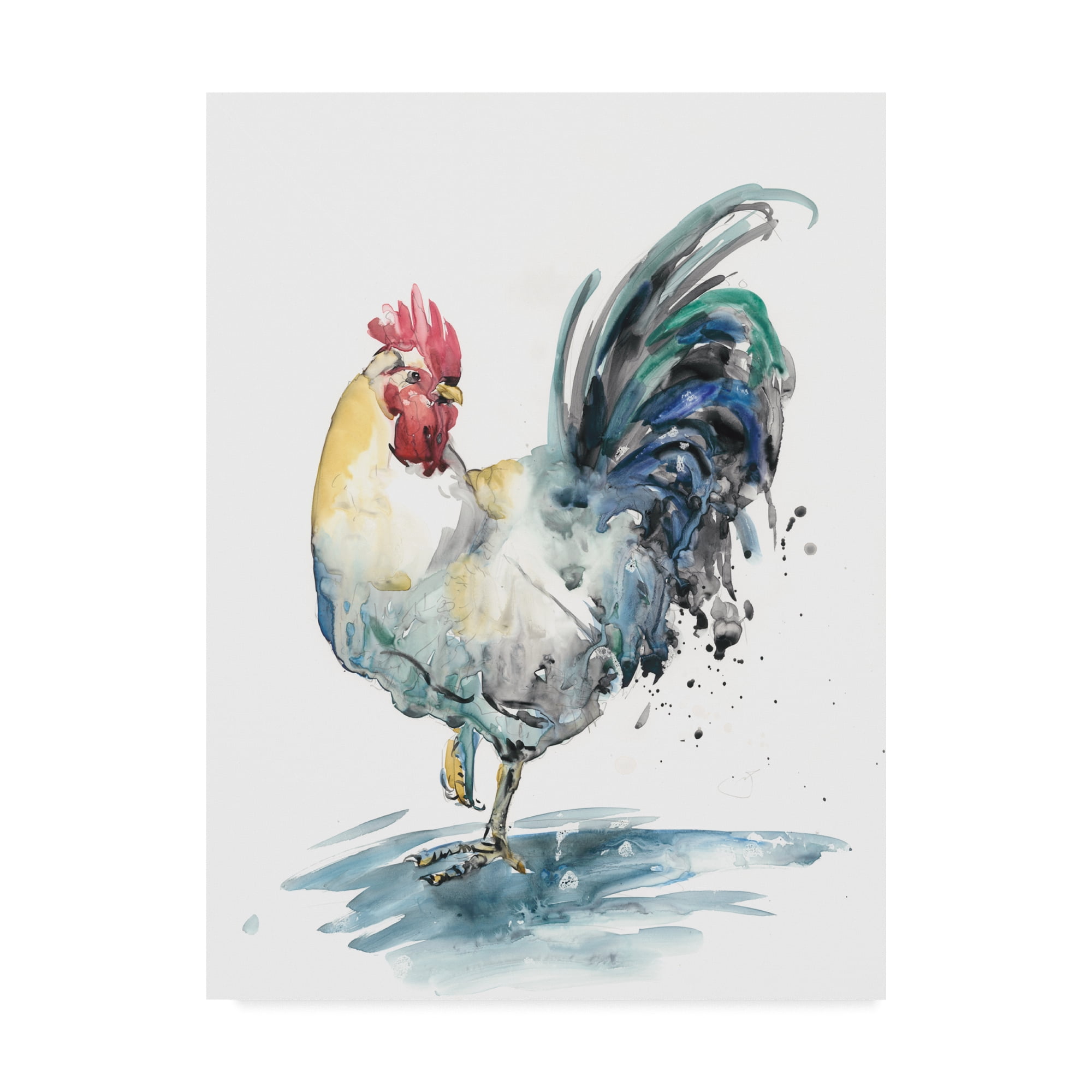 Trademark Fine Art 'Rooster Splash I' Canvas Art by Melissa Wang