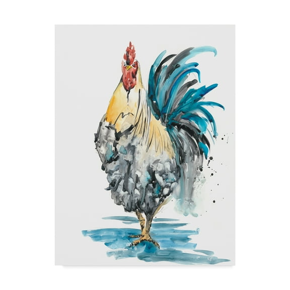 Trademark Fine Art 'Rooster Splash II' Canvas Art by Melissa Wang