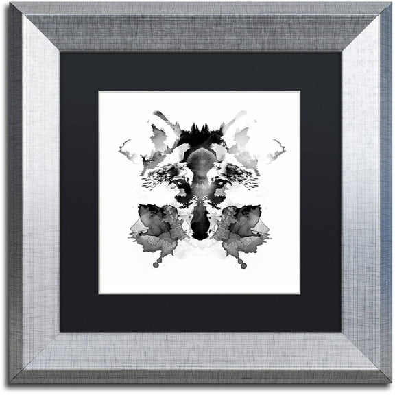 Trademark Fine Art 'Rorschach' Canvas Art by Robert Farkas, Black Matte, Silver Frame