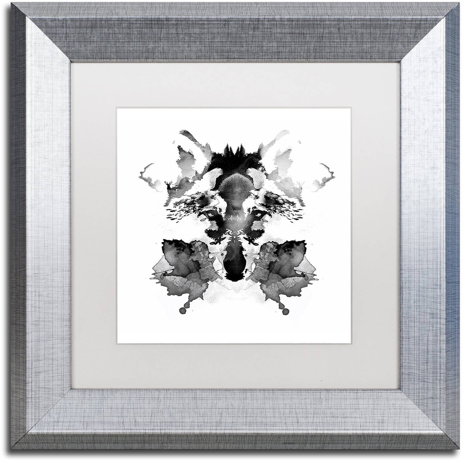 Trademark Fine Art 'Rorschach' Canvas Art by Robert Farkas, White Matte, Silver Frame