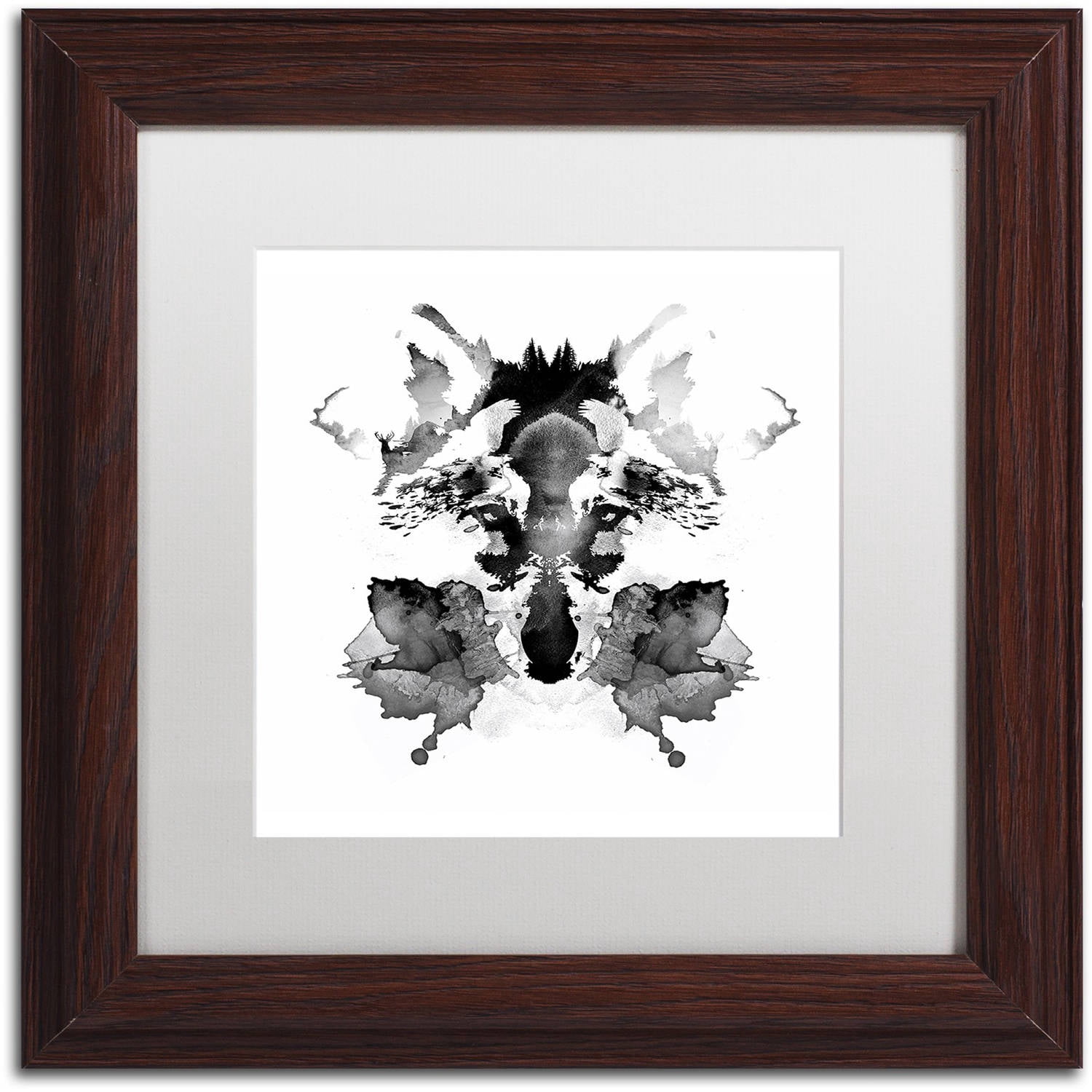 Trademark Fine Art 'Rorschach' Canvas Art by Robert Farkas, White Matte, Wood Frame