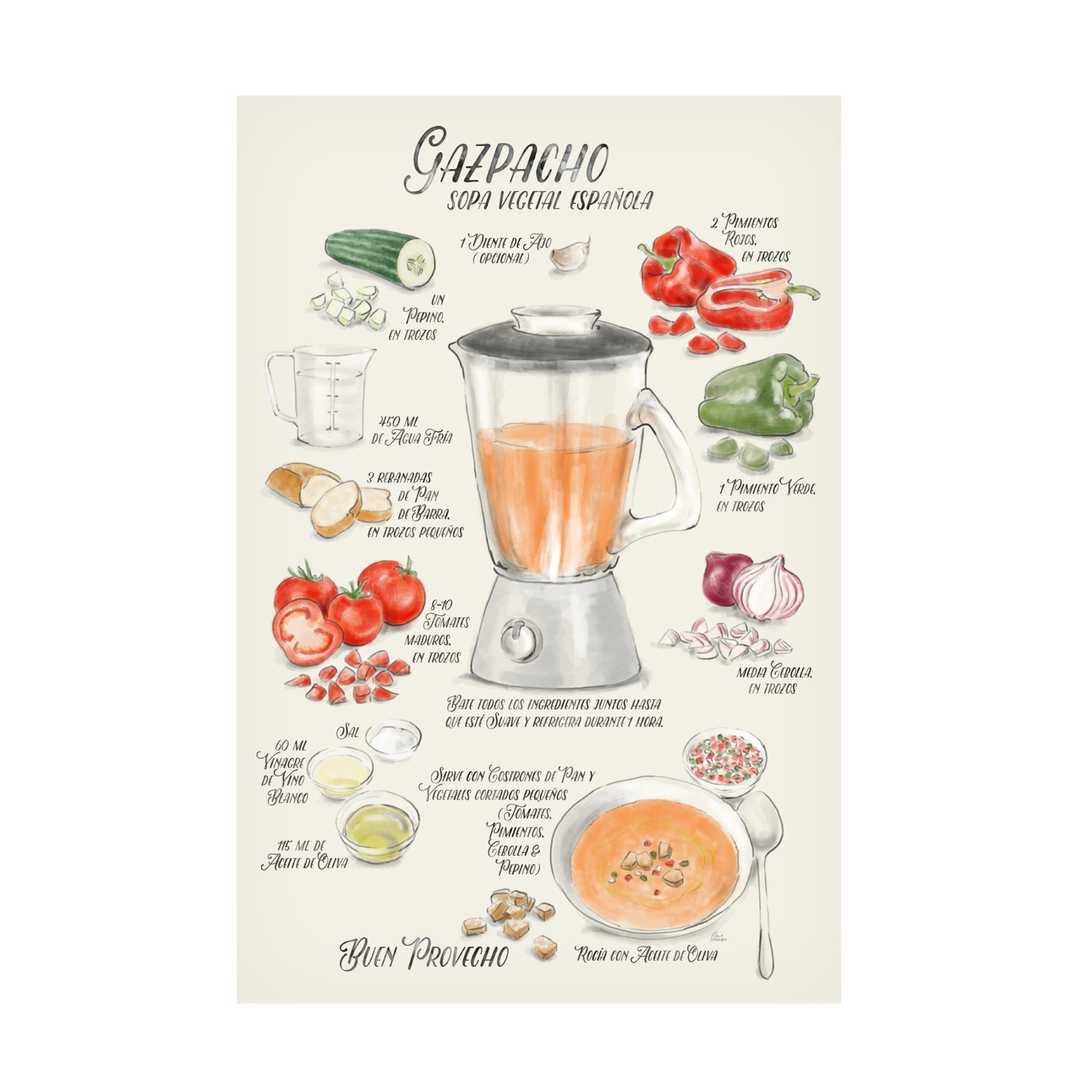 Trademark Fine Art Rosana Laiz Blursbyai Gazpacho illustrated recipe in Spanish Canvas Wall Art