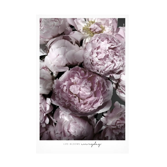 Trademark Fine Art Rosana Laiz Blursbyai Life blooms everyday peonies Canvas Wall Art