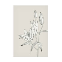 Trademark Fine Art Rosana Laiz Blursbyai Line art lillies in beige Canvas Wall Art