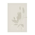thumbnail image 1 of Trademark Fine Art Rosana Laiz Blursbyai Line art lillies in white Canvas Wall Art, 1 of 4