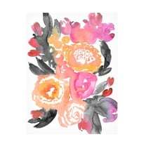 Trademark Fine Art Rosana Laiz Blursbyai Olympe florals II Canvas Wall Art
