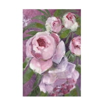 Trademark Fine Art Rosana Laiz Blursbyai Rylee painterly roses Canvas Wall Art
