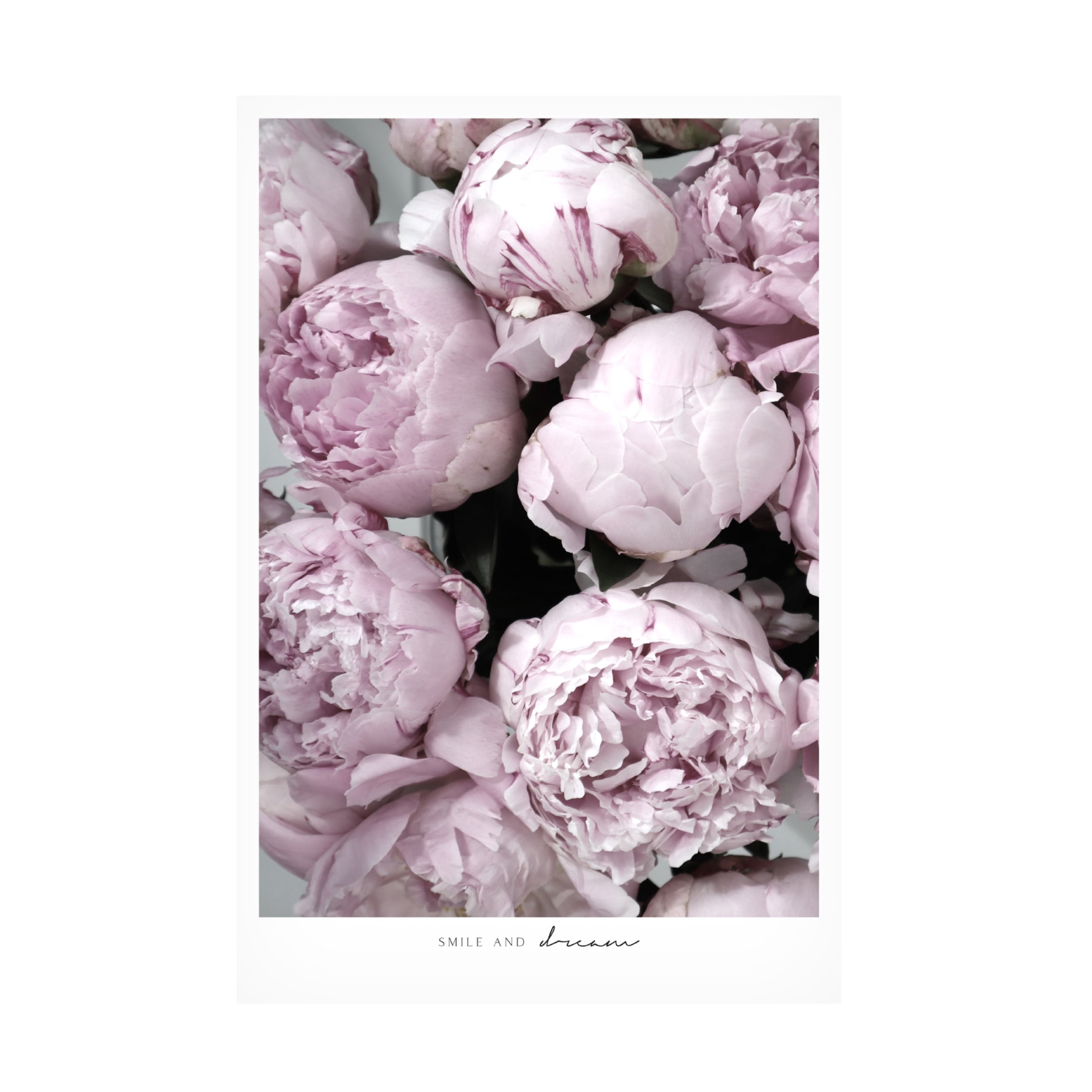 Trademark Fine Art Rosana Laiz Blursbyai Smile and dream peonies Canvas Wall Art