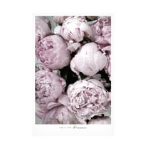 Trademark Fine Art Rosana Laiz Blursbyai Smile and dream peonies Canvas Wall Art