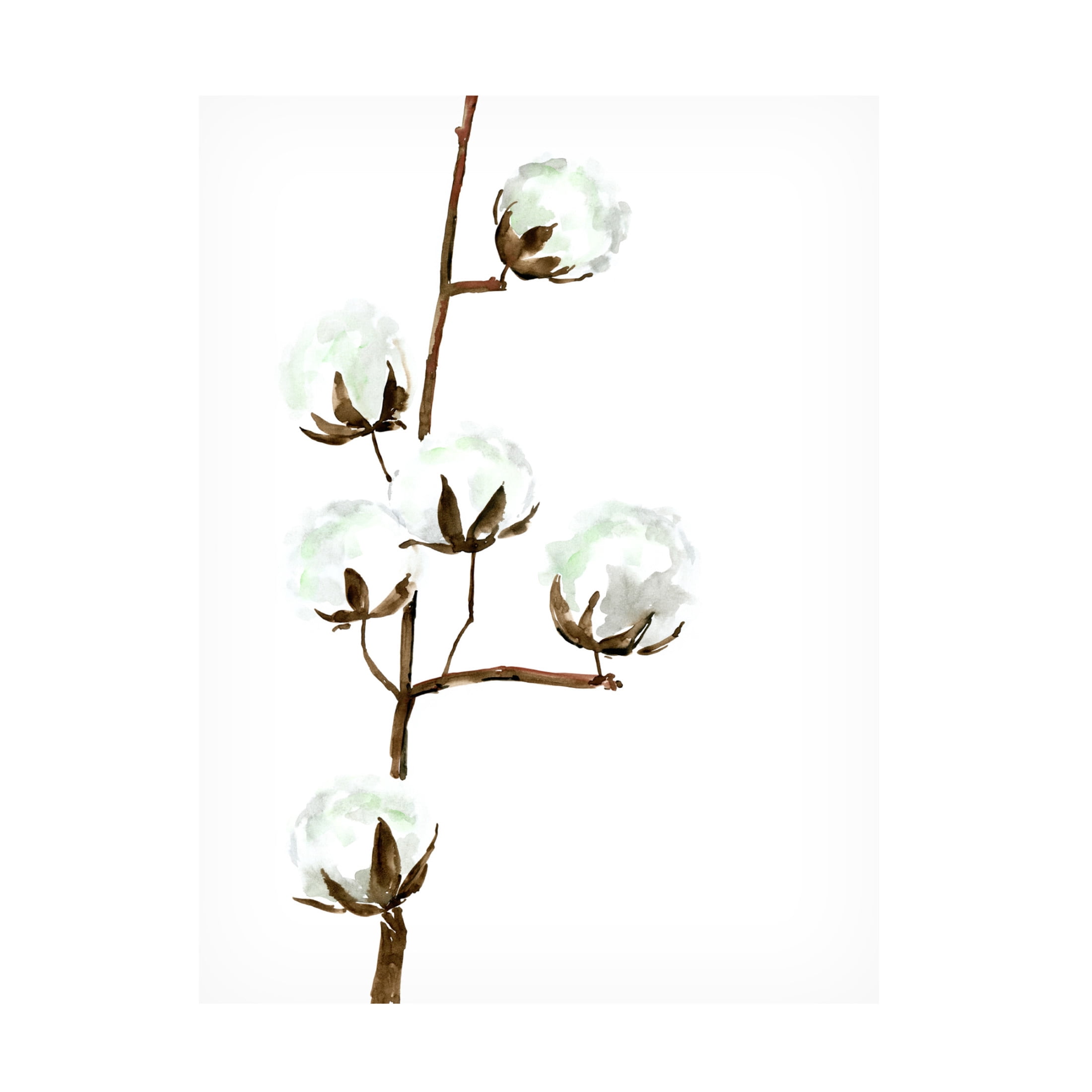 Trademark Fine Art Rosana Laiz Blursbyai Watercolor cotton branch I Canvas Wall Art