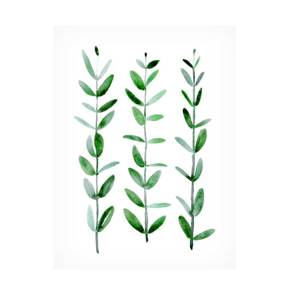 Trademark Fine Art Rosana Laiz Blursbyai Watercolor eucalyptus parvifolia Canvas Wall Art