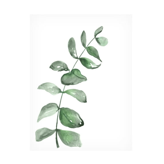 Trademark Fine Art Rosana Laiz Blursbyai Watercolor greenery branch Canvas Wall Art