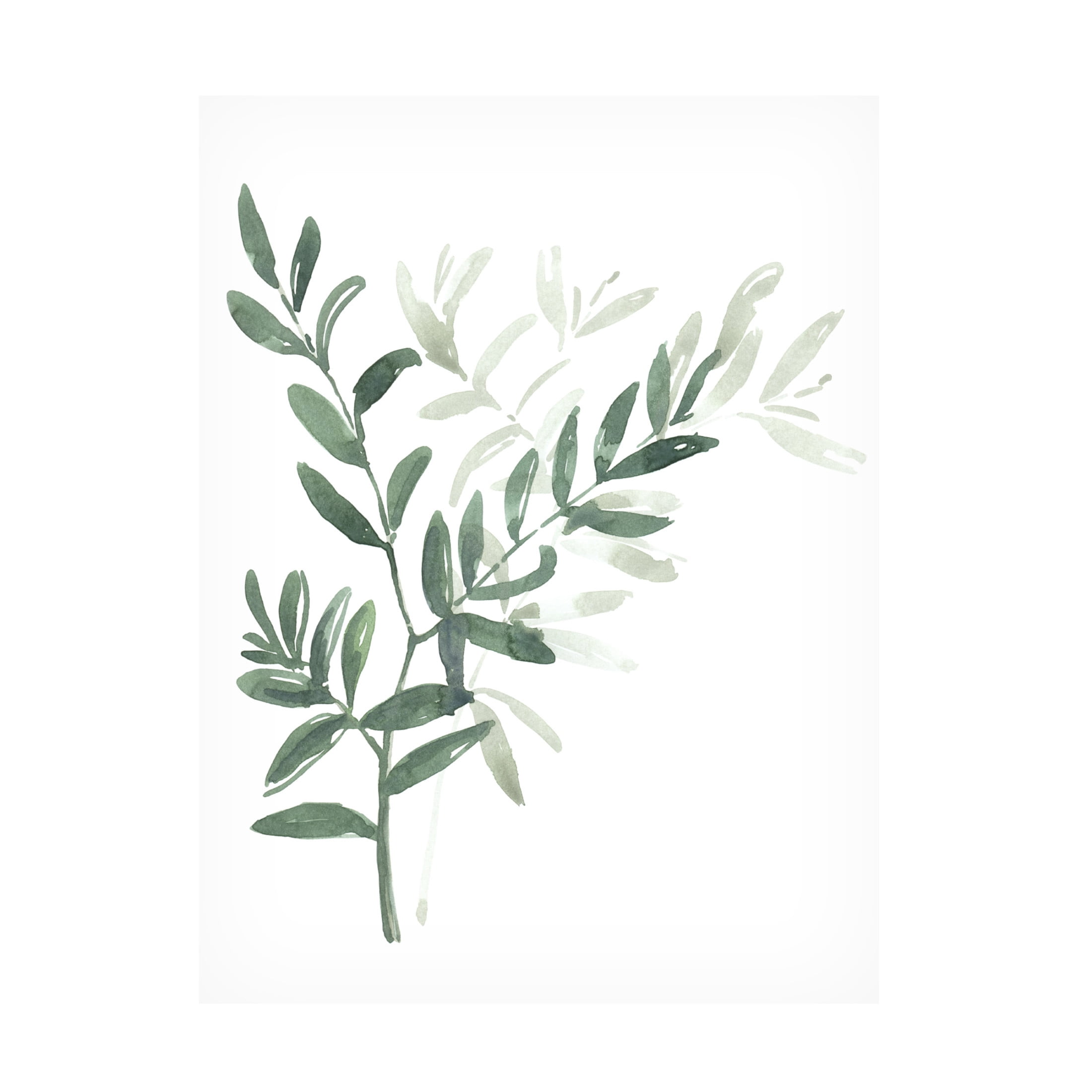 Trademark Fine Art Rosana Laiz Blursbyai Watercolor laurel branch Canvas Wall Art