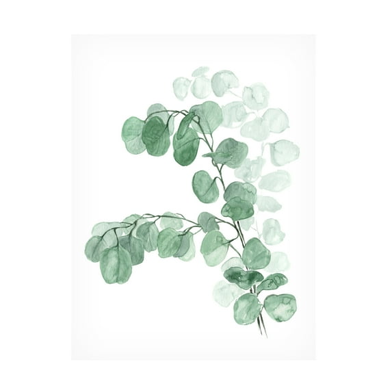Trademark Fine Art Rosana Laiz Blursbyai Watercolor silver dollar eucalyptus Canvas Wall Art