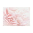 thumbnail image 1 of Trademark Fine Art 'Rose 2 Pink Floral' Canvas Art by PhotoINC Studio, 1 of 3