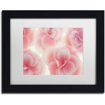 Trademark Fine Art 'Rose Begonia Flowers' Canvas Art by Cora Niele, White Matte, Black Frame