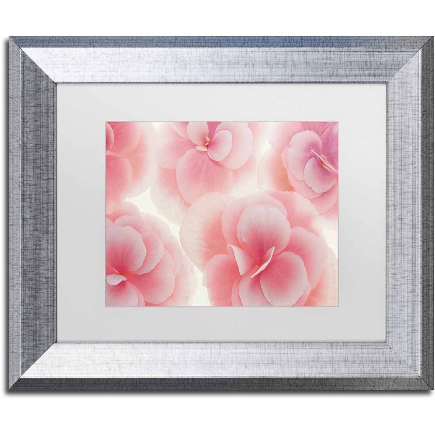 Trademark Fine Art 'Rose Begonia Flowers' Canvas Art by Cora Niele, White Matte, Silver Frame