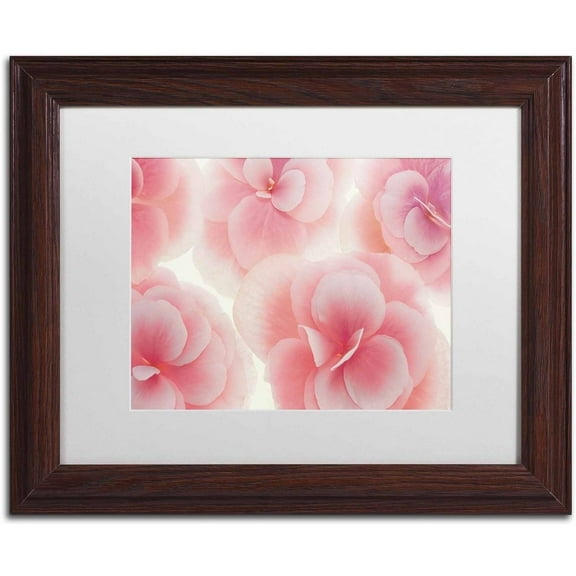Trademark Fine Art 'Rose Begonia Flowers' Canvas Art by Cora Niele, White Matte, Wood Frame