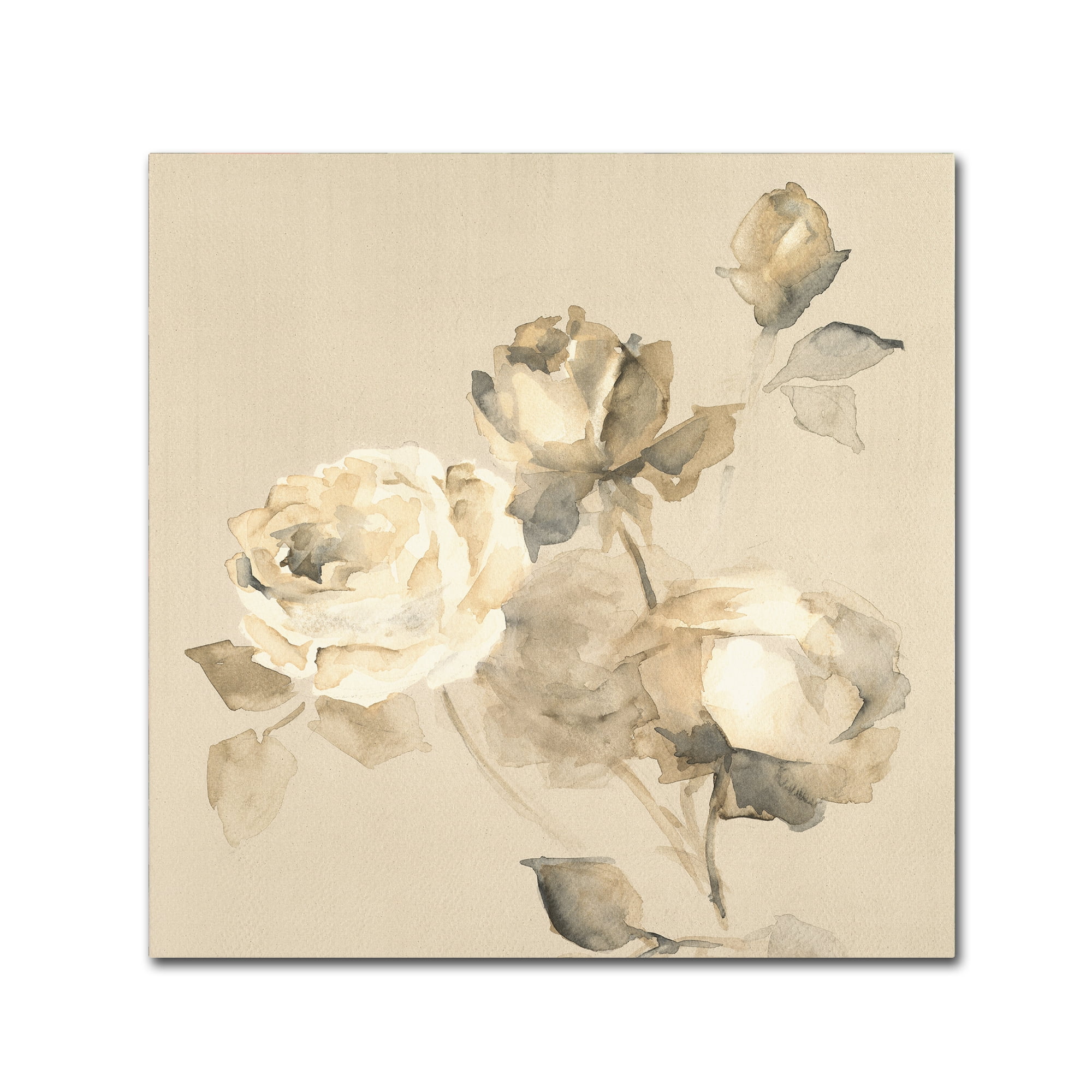 Trademark Fine Art 'Rose Blossoms Crop' Canvas Art by Wild Apple Portfolio