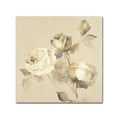 thumbnail image 1 of Trademark Fine Art 'Rose Blossoms Crop' Canvas Art by Wild Apple Portfolio, 1 of 3