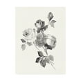 thumbnail image 1 of Trademark Fine Art 'Rose Blossoms Gray' Canvas Art by Wild Apple Portfolio, 1 of 3