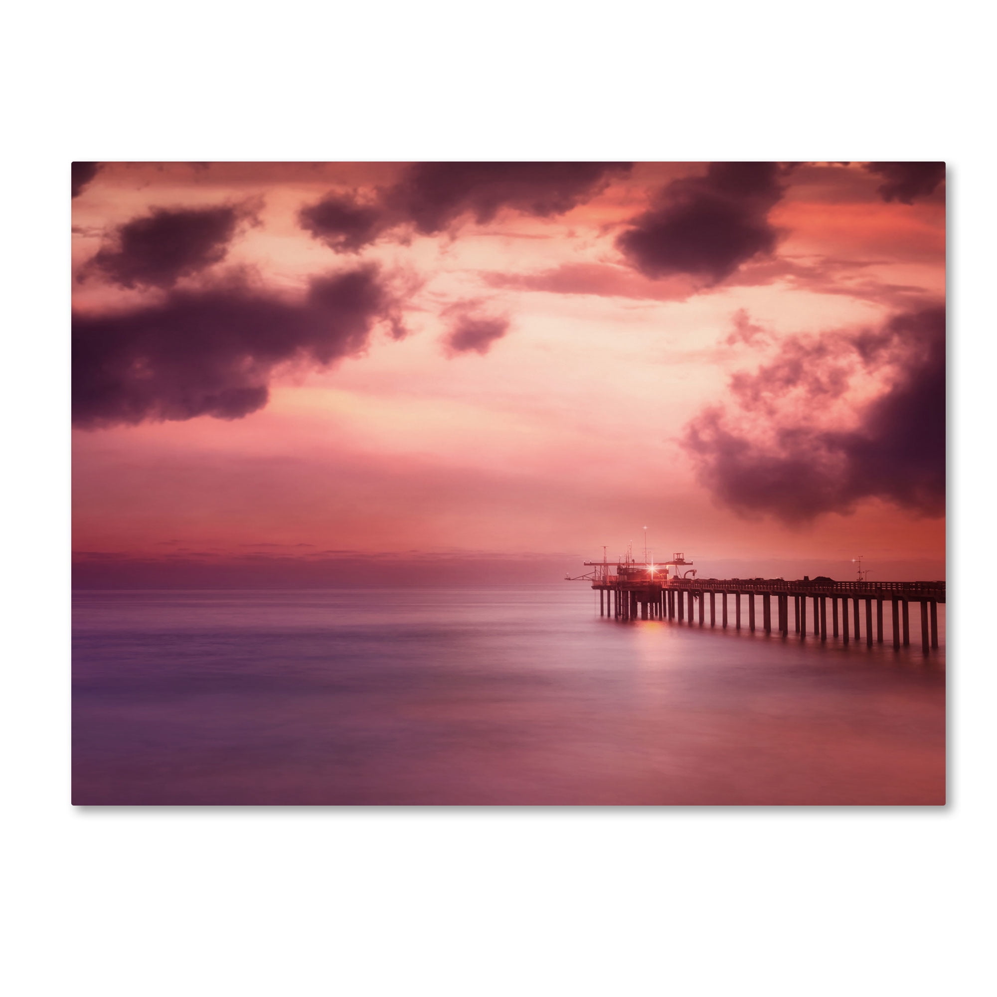 Trademark Fine Art "Rose Bonbon" Canvas Art by Philippe Sainte-Laudy