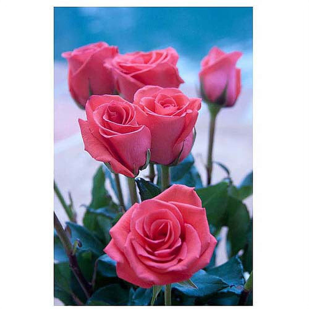 Trademark Fine Art "Rose Bouquet" Canvas Art by Martha Guerra, 16x24