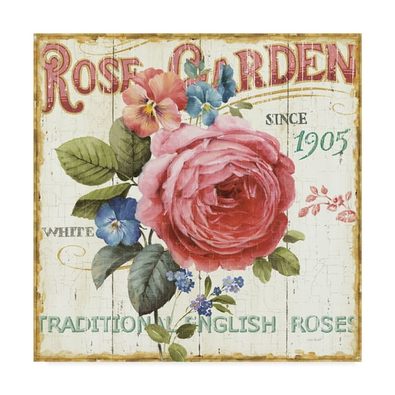 Trademark Fine Art 'Rose Garden I' Canvas Art by Lisa Audit