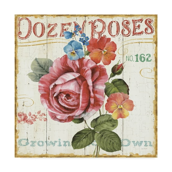 Trademark Fine Art 'Rose Garden II' Canvas Art by Lisa Audit